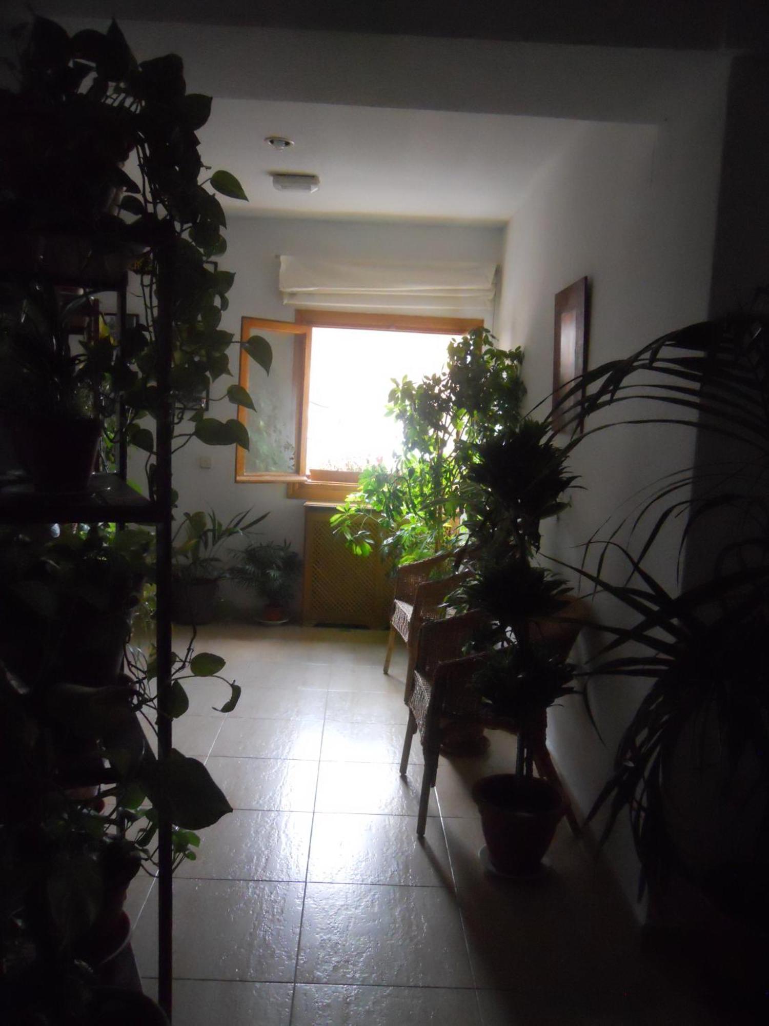 Hostal El Descanso มาดริด ภายนอก รูปภาพ