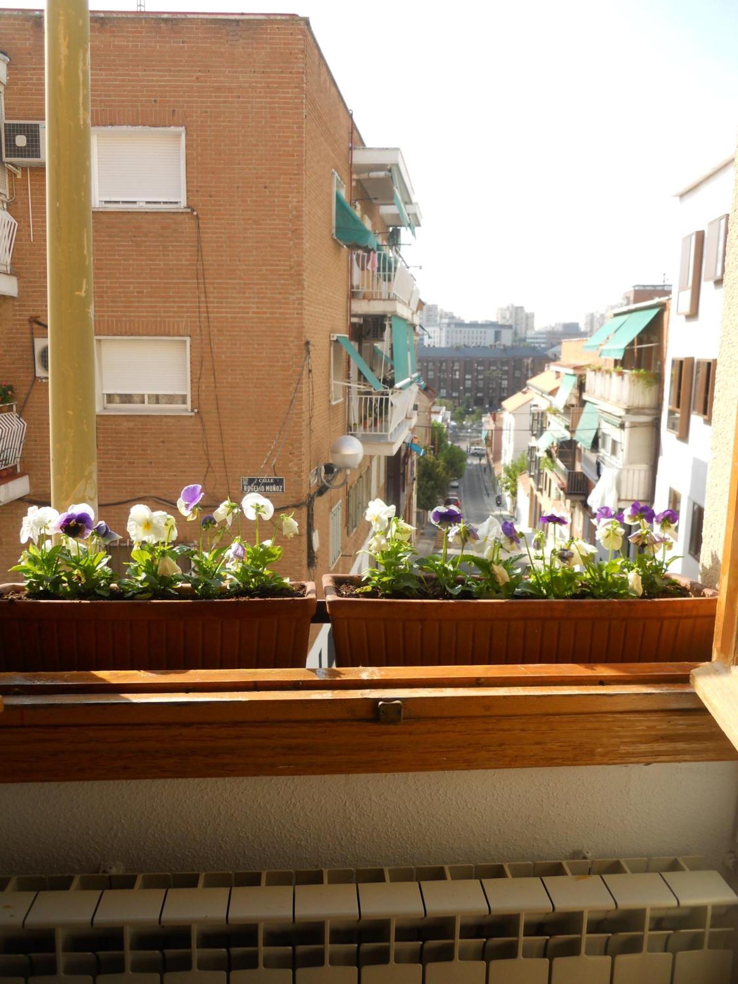 Hostal El Descanso มาดริด ภายนอก รูปภาพ