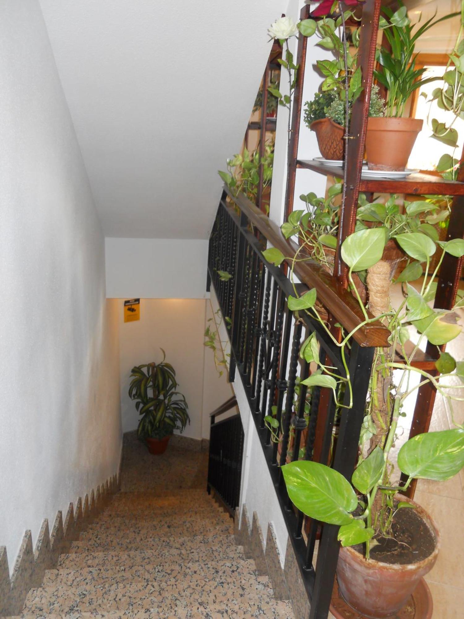 Hostal El Descanso มาดริด ภายนอก รูปภาพ